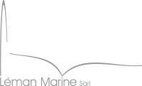 Logo LM couleur969696